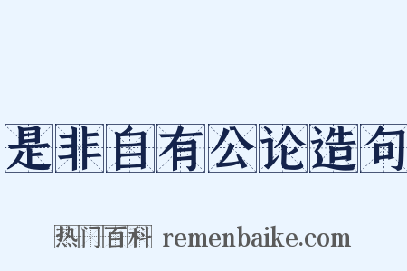 是非自有公论造句是什么意思的图片